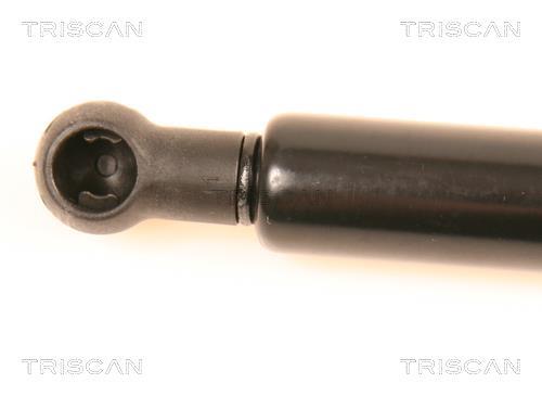 Vérin (Vérin de hayon) Triscan A/S 8710 29249