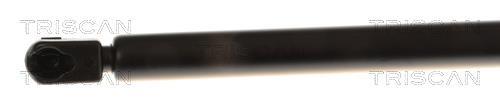 Cilindro Triscan A/S ref. 8710 29250