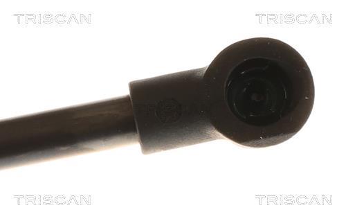 Cilindro Triscan A/S ref. 8710 29250