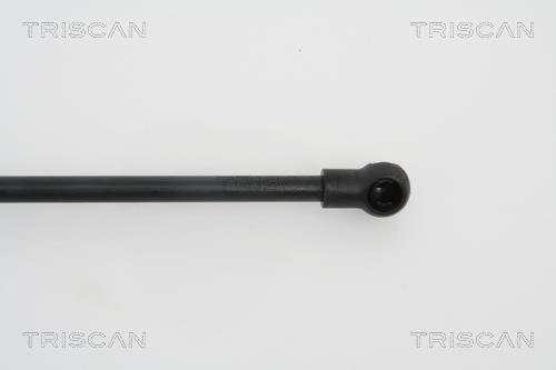 Vérin (Vérin de hayon) Triscan A/S ref. 8710 29253