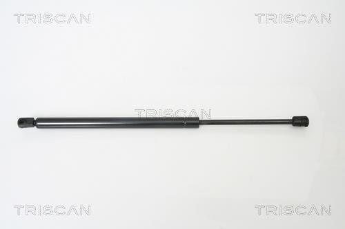 Cilindro Triscan A/S 8710 29254