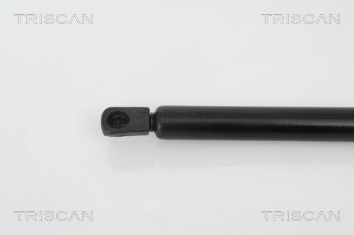 Cilindro Triscan A/S 8710 29254