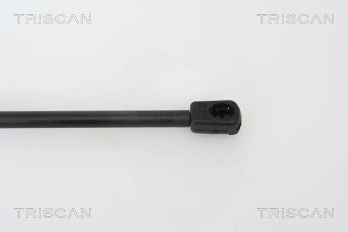 Cilindro Triscan A/S 8710 29254