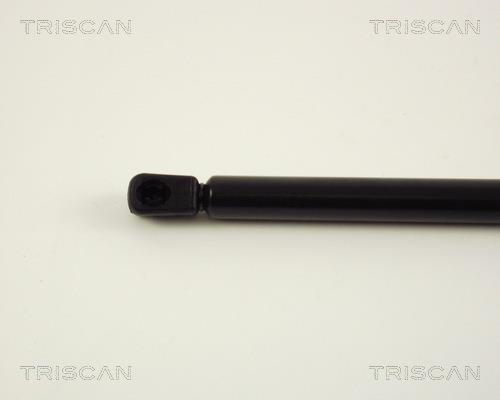 Vérin (Vérin de hayon) Triscan A/S ref. 8710 29256