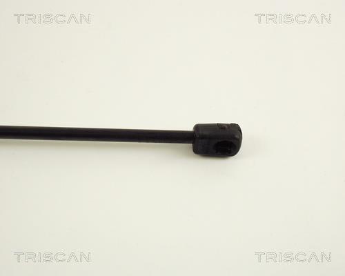 Vérin (Vérin de hayon) Triscan A/S ref. 8710 29256