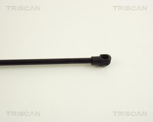 Vérin (Vérin de hayon) Triscan A/S ref. 8710 29257