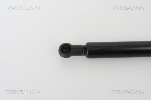 Vérin (Vérin de hayon) Triscan A/S 8710 29258