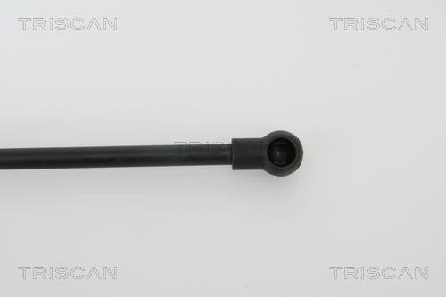 Vérin (Vérin de hayon) Triscan A/S 8710 29258