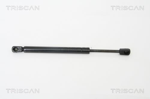 Muelle neumático Triscan A/S ref. 8710 29259