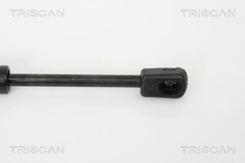 Muelle neumático Triscan A/S ref. 8710 29259