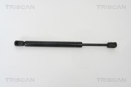 Vérin (Vérin de hayon) Triscan A/S ref. 8710 29260