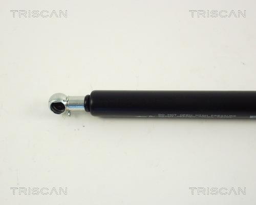 Vérin (Vérin de hayon) Triscan A/S 8710 29262