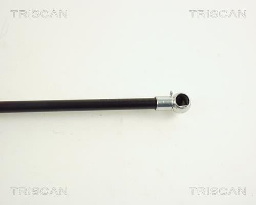 Vérin (Vérin de hayon) Triscan A/S 8710 29262