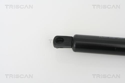 Muelle neumático Triscan A/S ref. 8710 29263