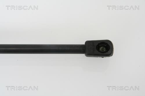 Muelle neumático Triscan A/S ref. 8710 29263