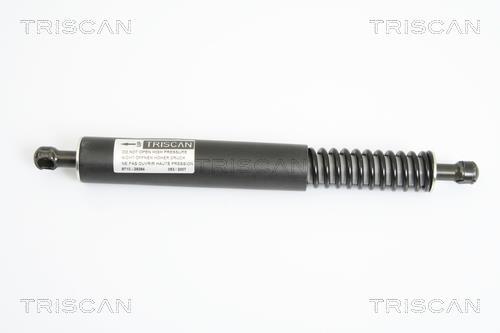Vérin (Vérin de hayon) Triscan A/S 8710 29264