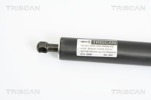 Vérin (Vérin de hayon) Triscan A/S 8710 29264