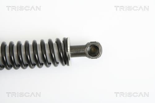 Vérin (Vérin de hayon) Triscan A/S 8710 29264