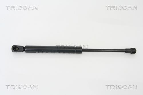 Vérin (Vérin de hayon) Triscan A/S 8710 29265