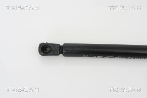 Vérin (Vérin de hayon) Triscan A/S 8710 29265