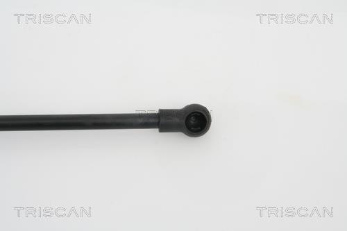 Vérin (Vérin de hayon) Triscan A/S 8710 29265