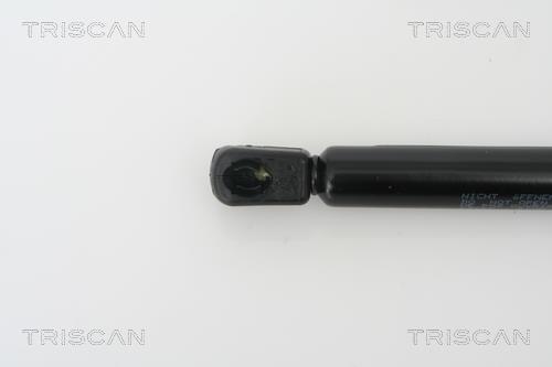 Vérin (Vérin de hayon) Triscan A/S 8710 29266