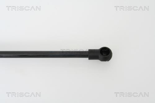 Vérin (Vérin de hayon) Triscan A/S 8710 29266