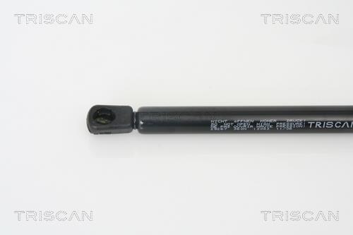 Vérin (Vérin de hayon) Triscan A/S 8710 29267