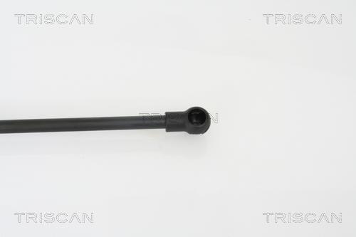 Vérin (Vérin de hayon) Triscan A/S 8710 29267