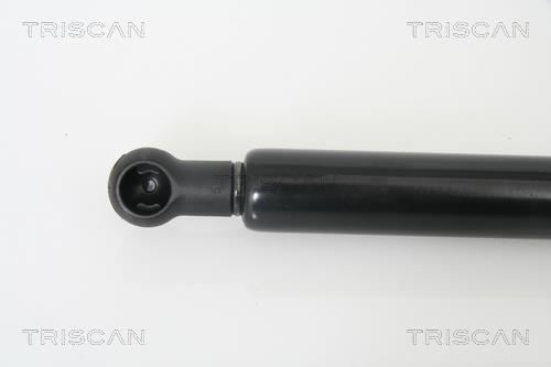 Vérin (Vérin de hayon) Triscan A/S 8710 29268