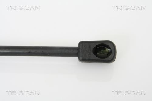 Vérin (Vérin de hayon) Triscan A/S 8710 29268