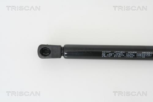 Vérin (Vérin de hayon) Triscan A/S 8710 29270