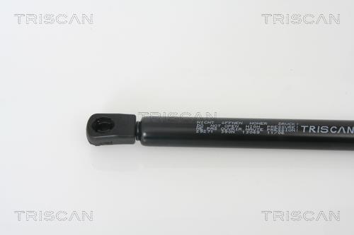 Vérin (Vérin de hayon) Triscan A/S 8710 29271