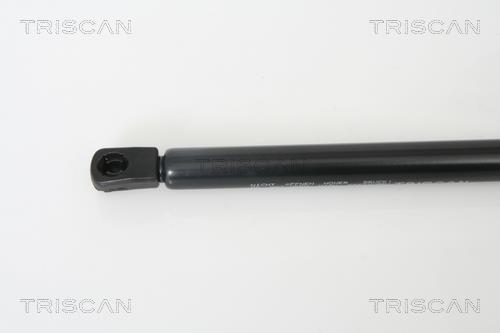 Muelle neumático Triscan A/S ref. 8710 29272
