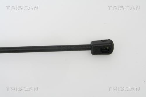 Muelle neumático Triscan A/S ref. 8710 29272