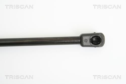 Vérin (Vérin de hayon) Triscan A/S 8710 29273