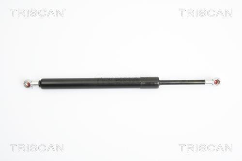 Vérin (Vérin de hayon) Triscan A/S 8710 29274