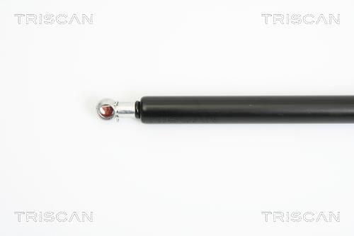Vérin (Vérin de hayon) Triscan A/S 8710 29274