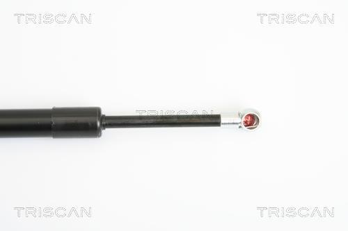 Vérin (Vérin de hayon) Triscan A/S 8710 29274