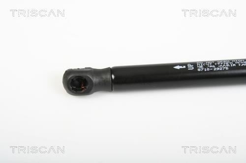 Vérin (Vérin de hayon) Triscan A/S 8710 29275