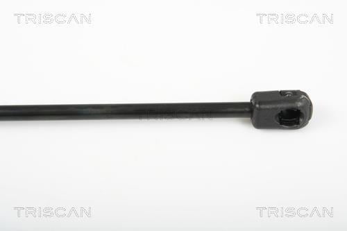 Vérin (Vérin de hayon) Triscan A/S 8710 29275
