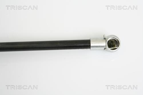 Vérin (Vérin de hayon) Triscan A/S ref. 8710 29276
