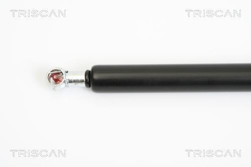 Vérin (Vérin de hayon) Triscan A/S 8710 29277