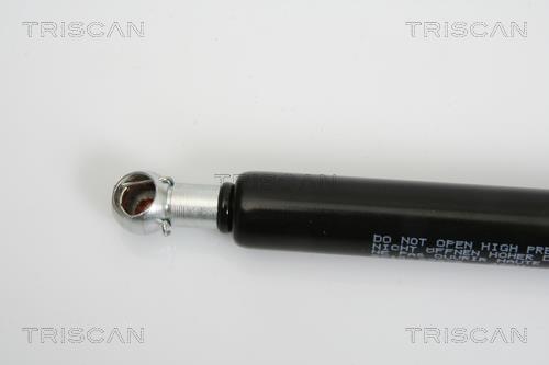 Vérin (Vérin de hayon) Triscan A/S 8710 29278