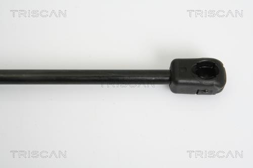 Vérin (Vérin de hayon) Triscan A/S 8710 29278