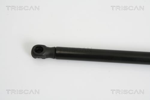 Vérin (Vérin de hayon) Triscan A/S 8710 29279