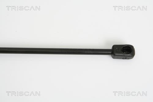 Vérin (Vérin de hayon) Triscan A/S 8710 29279