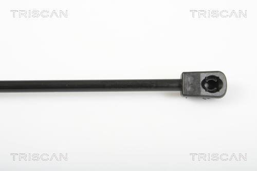 Muelle neumático Triscan A/S ref. 8710 29280