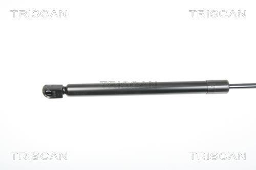 Vérin (Vérin de hayon) Triscan A/S 8710 29281