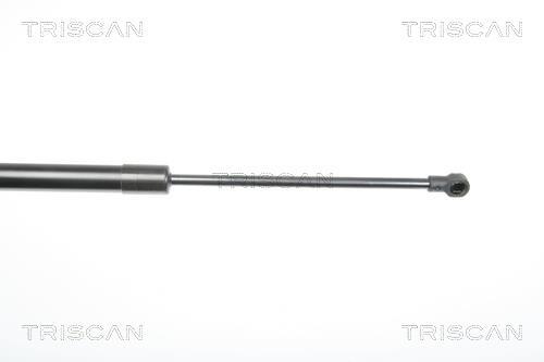 Vérin (Vérin de hayon) Triscan A/S 8710 29281